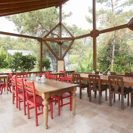 Olympos Village 2*