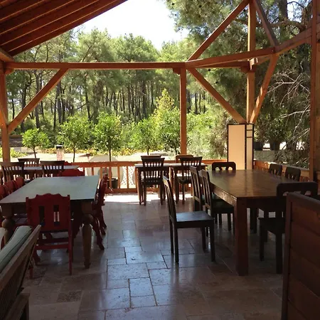 Hotel Olympos Village 2*