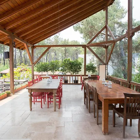 Hotel Olympos Village Kumluca