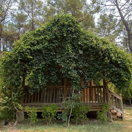 Olympos Village Hotel