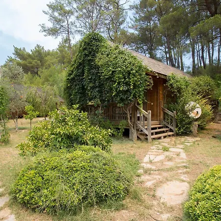 Olympos Village Hotel 2*
