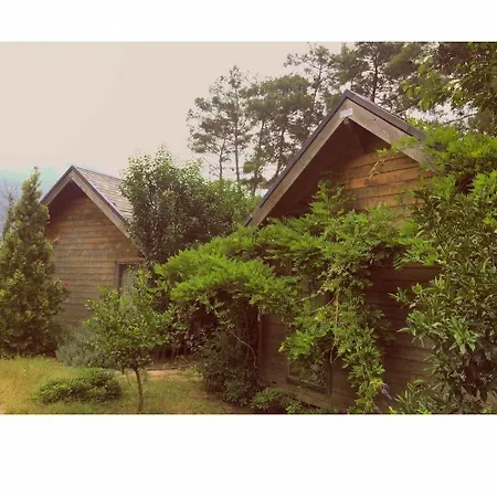 Olympos Village Hotel