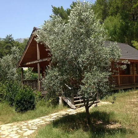 Hotel Olympos Village Kumluca