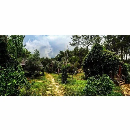 Hotel Olympos Village Kumluca